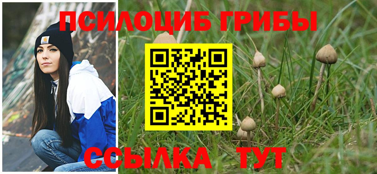 Галлюциногенные грибы мухоморы  Вход с VPN  Псилоцибиновые грибы ЛСД  Волжск 