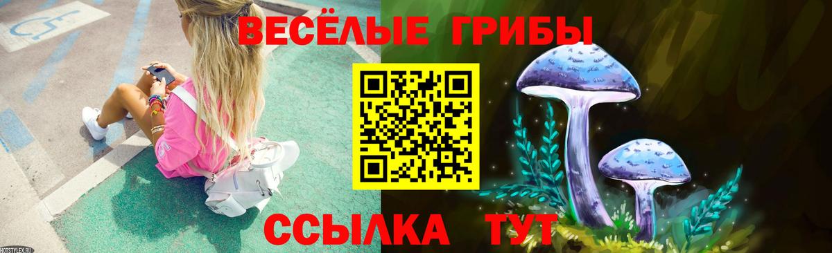 Псилоцибиновые грибы MAGIC MUSHROOMS Волжск